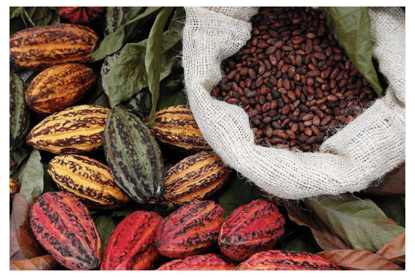 Chocolat Madagascar(11)